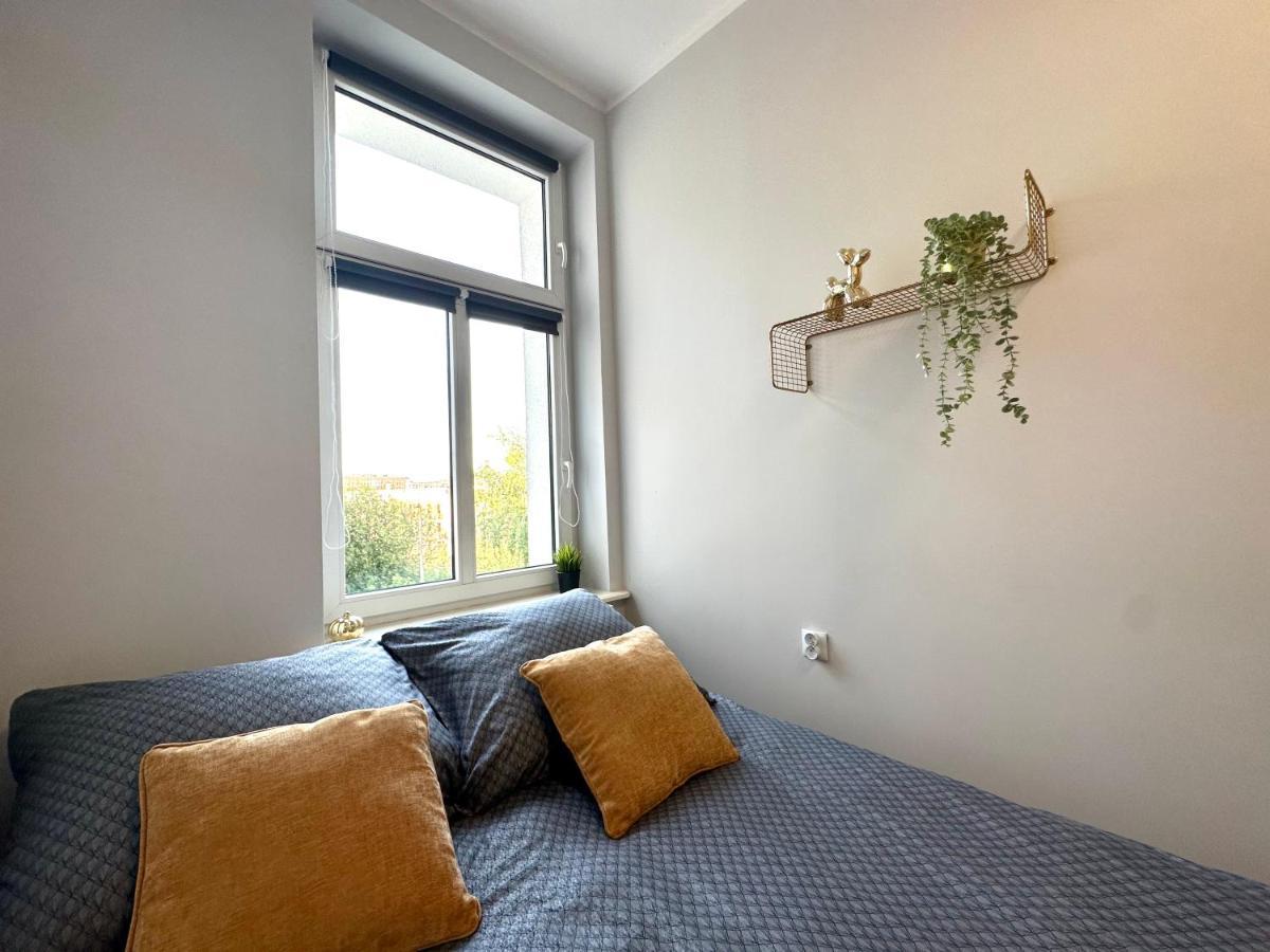 Mmrent Sunflower * Gdańsk